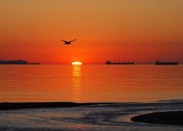 Sun&sea شقة غدانسك